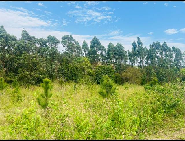 LAND FOR SALE IN ONGOYE